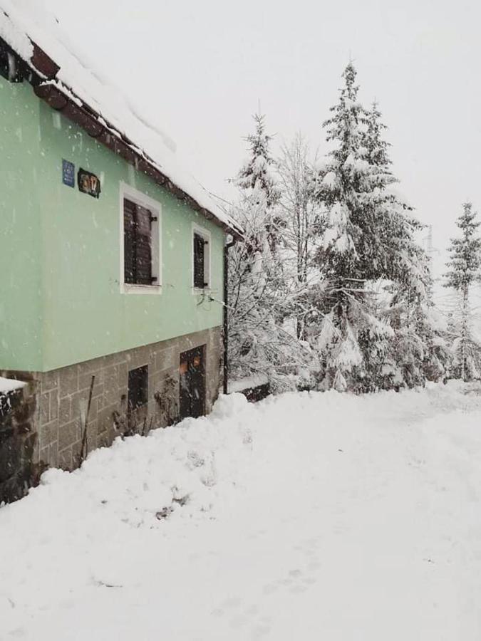Forest Chalet Zalesina Εξωτερικό φωτογραφία