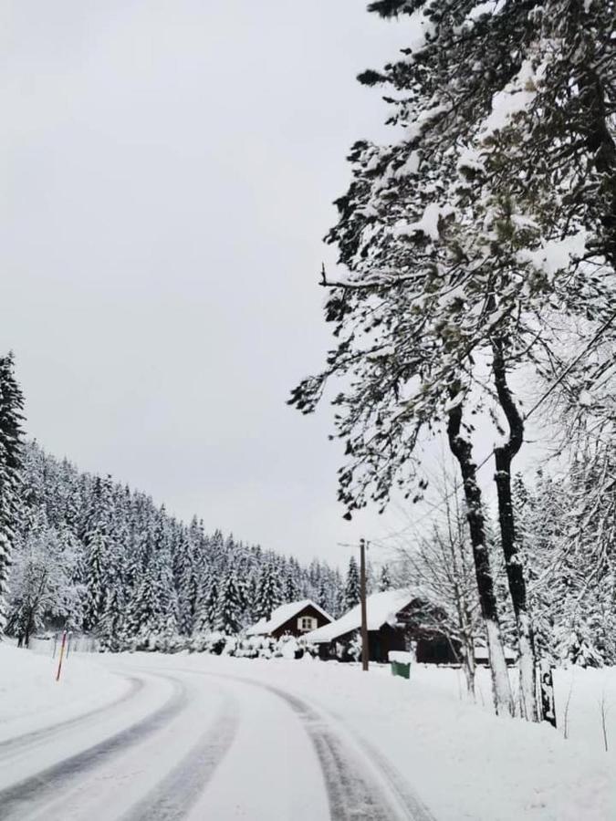 Forest Chalet Zalesina Εξωτερικό φωτογραφία