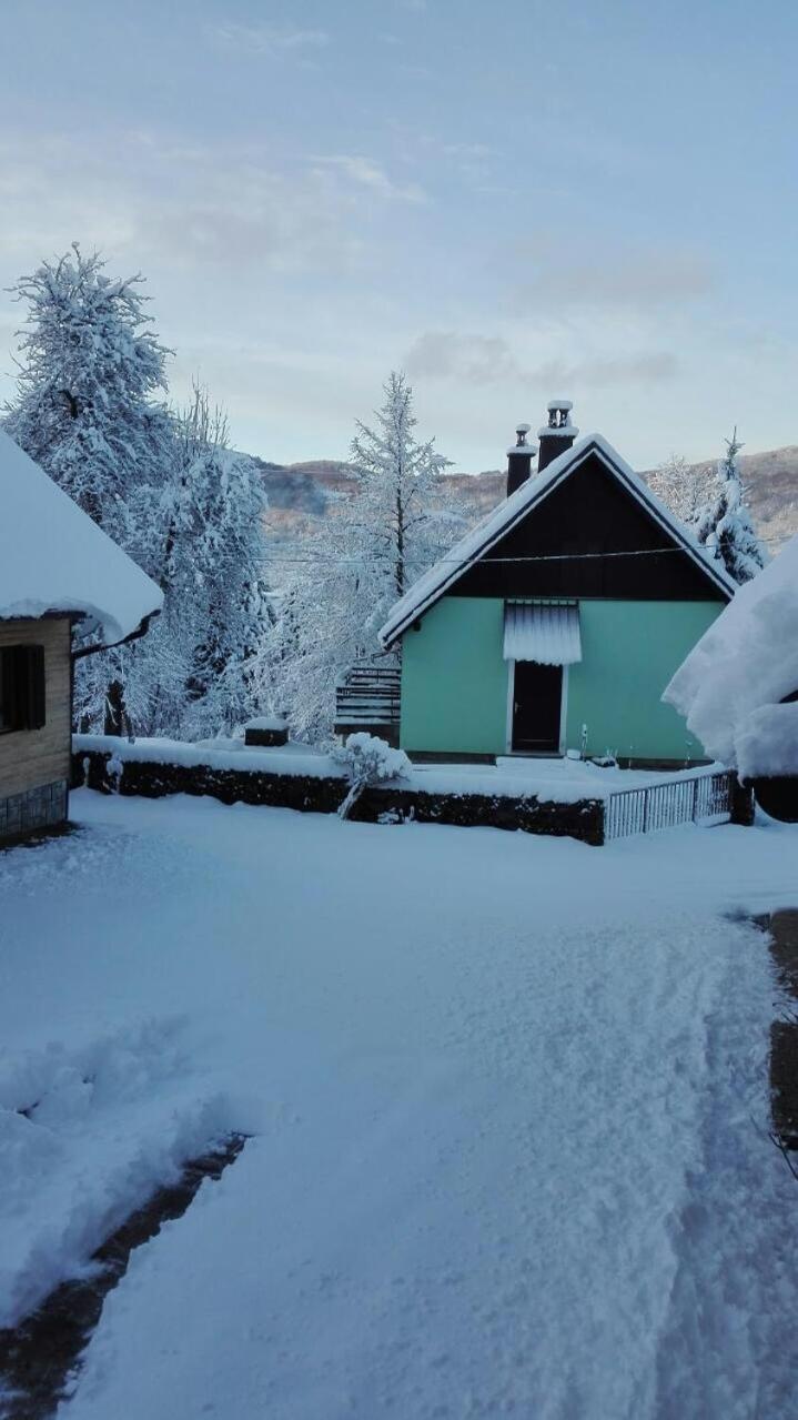 Forest Chalet Zalesina Εξωτερικό φωτογραφία